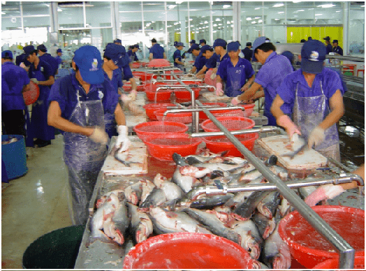 Fish Processing