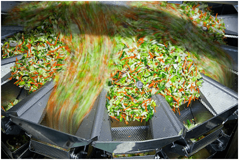 Fruits and Vegetables Processing