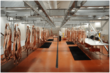 Meat Processing