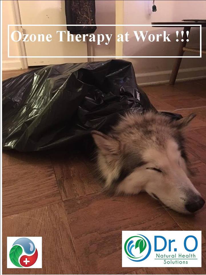Ozone-for Dogs