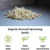 sprouted-broccoli