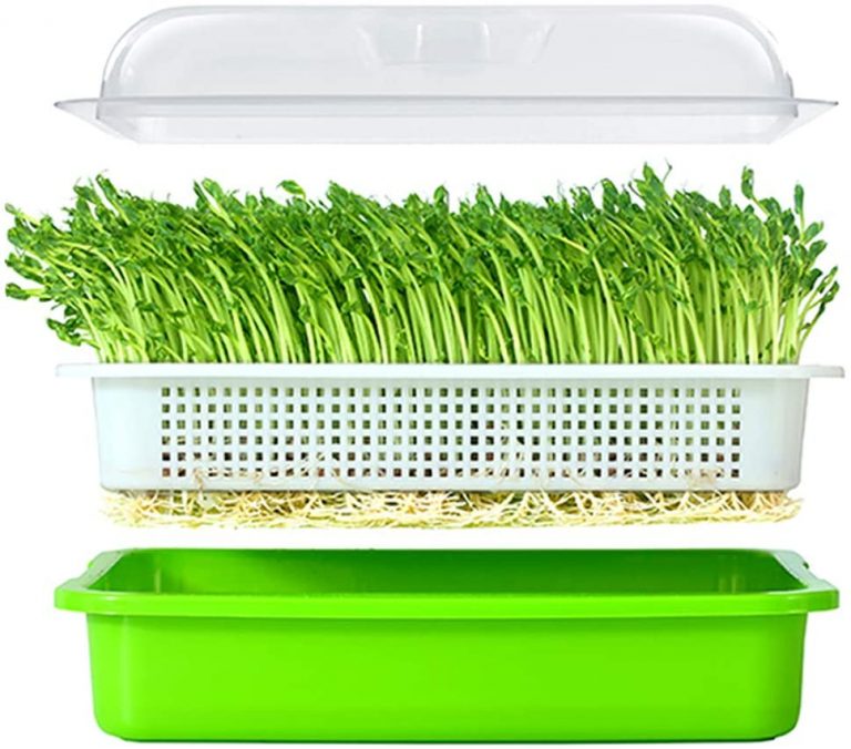 Seed Sprouter Germination Kit Dr.O Solutions for Natural Health
