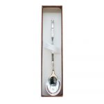 Silver Spoon