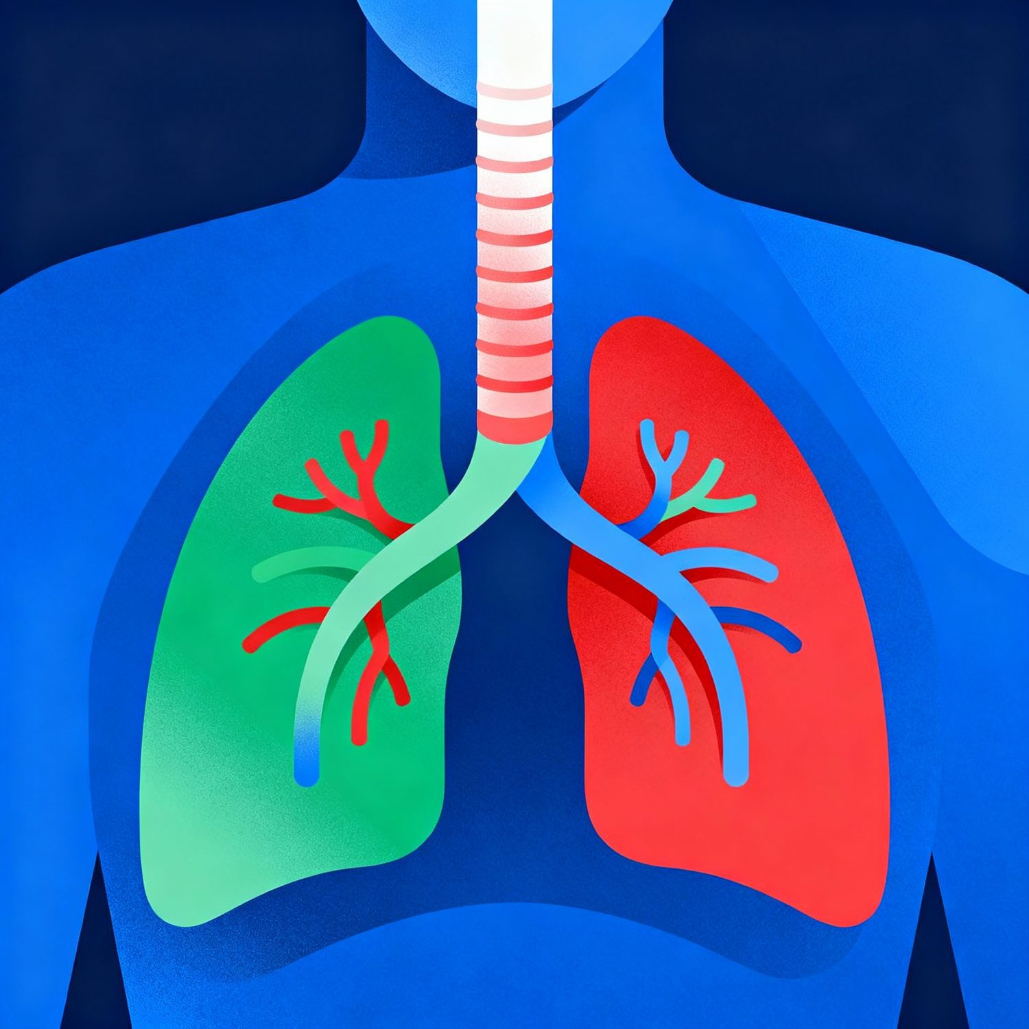 Respiratory System​